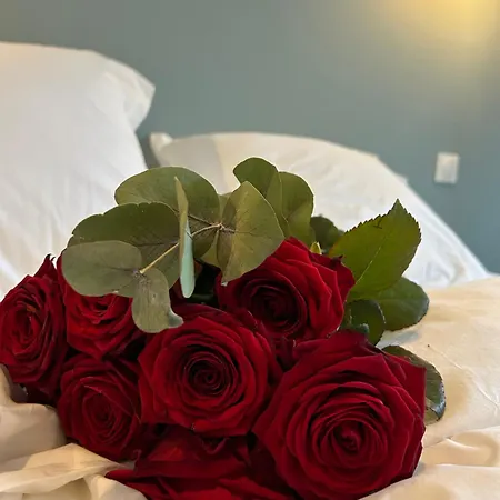 La Belle Vicoise * Vic-sur-Aisne