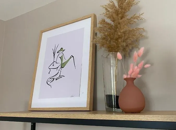 La Belle Vicoise Country house *