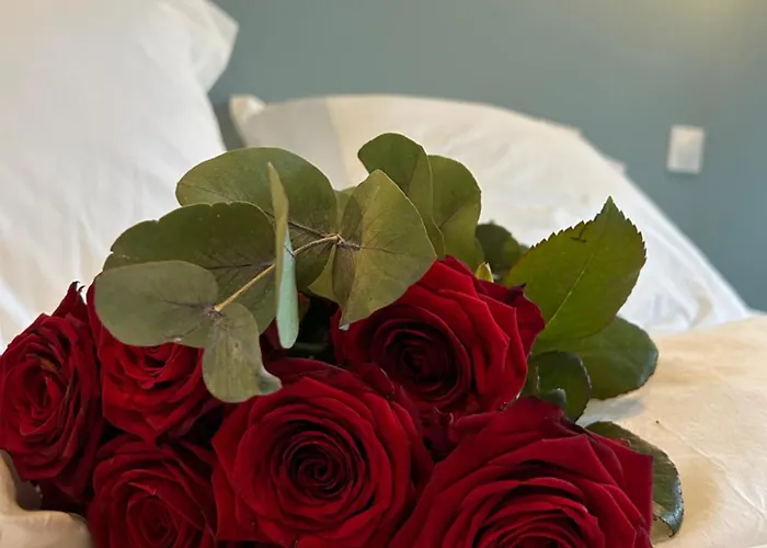 La Belle Vicoise * Vic-sur-Aisne